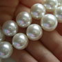 Perle seashell 12mm (1)