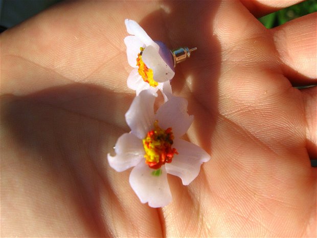 Cercei flori de musetel REZERVAT