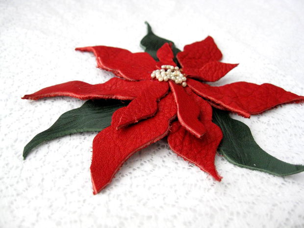 Poinsetia