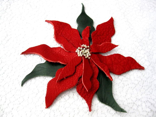 Poinsetia