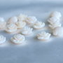 Trandafir rasina 10mm (1)