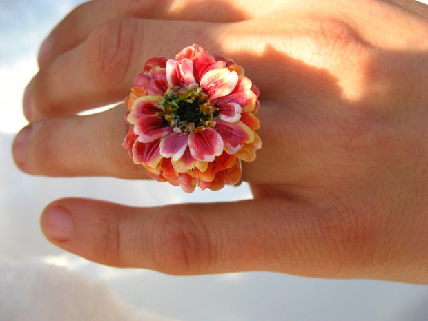 Inel Gerbera, REZERVAT
