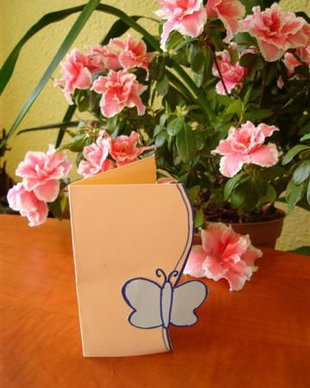 felicirare mica fluture