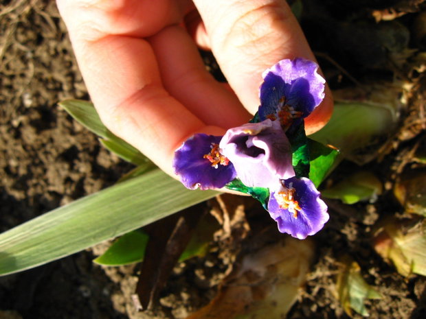 Iris Violet - Inel Reglabil