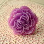 PURPLE CARNATIONS...