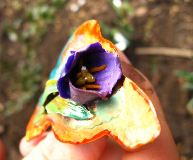 Brosa  - lalea violet premiu concurs forum