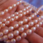 Perle cultura 5-6x6.5-7.5mm, codEPW096 (1)