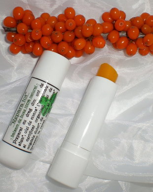 REPARA TOT - balsam natural pentru buze, cu ulei de catina.