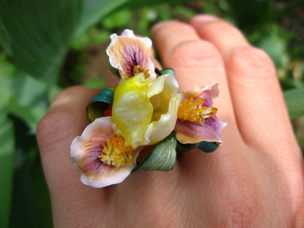 Inel iris