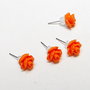 Trandafiri orange