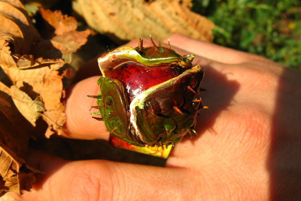 REZERVAT - Castana in teaca - inelus reglabil