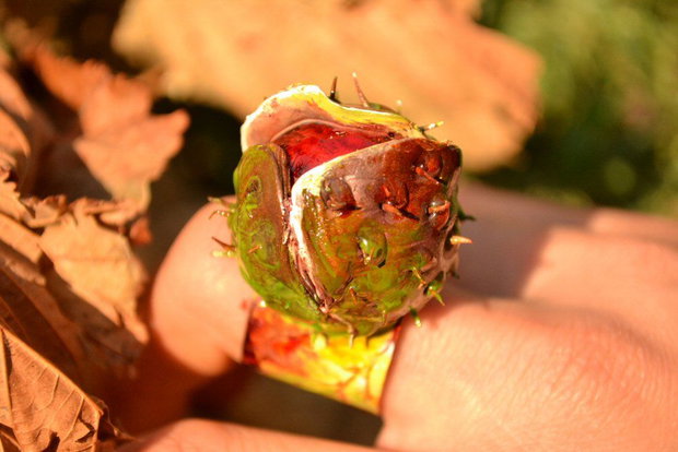 REZERVAT - Castana in teaca - inelus reglabil