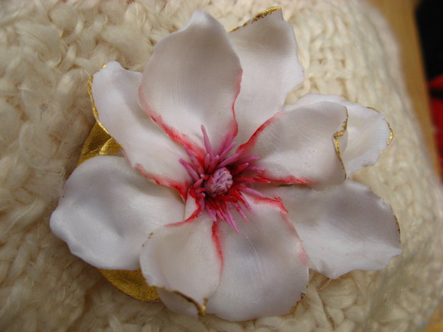 Brosa Magnolie Stelata Alba