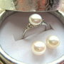 PRECIOUS PEARLS- rezervat P.F.