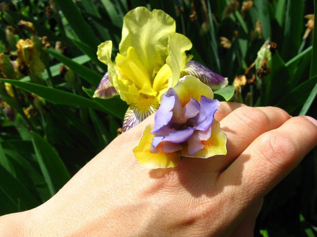 Iris - Inel reglabil