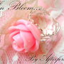 IN BLOOM
