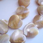 Inimi din sidef bej NATURAL 15X15X4 mm