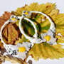 Autumn Blossom...