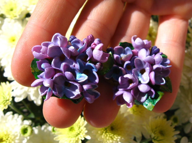 Rezervat - Cercei Liliac
