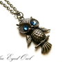 BLUE EYED OWL