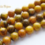 Coral fosil galben aprox 6.5 mm