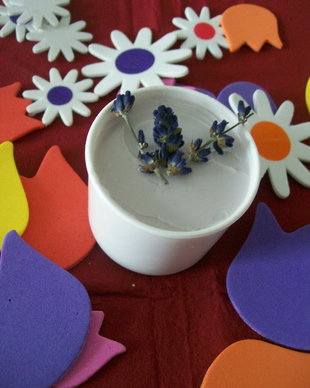 "My little PROVENCE" - CREMA MAINI CU SHEA SI LAVANDA