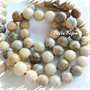Coral fosil 6.5 mm