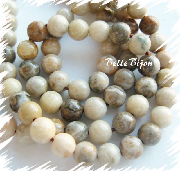 Coral fosil 6.5 mm
