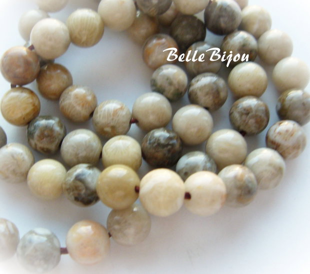Coral fosil 6.5 mm