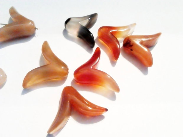 1b Agata cala 22 x 23 mm