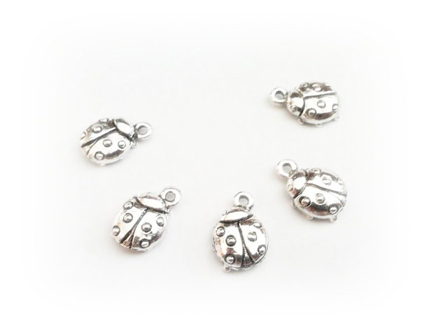 1b Charm placat cu argint '' Gargarita '' 10 x 13 mm