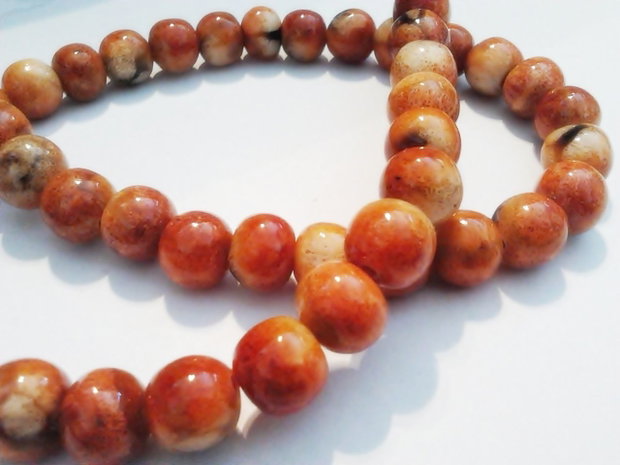 1b Apple coral 8 - 9 mm