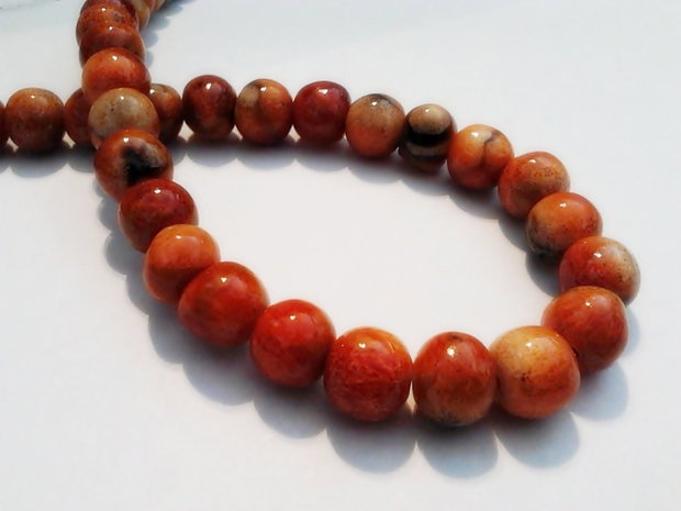 1b Apple coral 8 - 9 mm