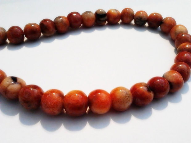 1b Apple coral 8 - 9 mm
