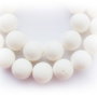 1b Coral alb poros 6 mm