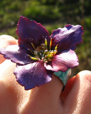 Clematis - Inel unicat reglabil