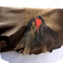 Colectia    PLICURI DANTELATE