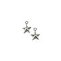 Charm steluta, placat cu argint, 6x6 mm (cod 9-13)