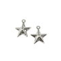 Charm stea, placat cu argint, 10x10 mm (cod 9-14)