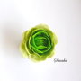Verde crud