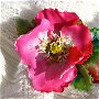 Trandafir Salbatic - Brosa pentru Martisor, Dragobete, Ziua Femeii, Sfantul Valentin