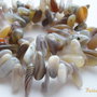 Agate Botswana gherute 12-19x4-6x4-6 mm (10 bucati)