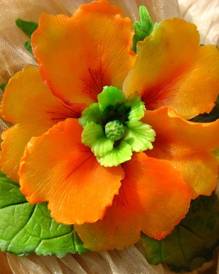 Primula Oranj - Brosa - Martisor