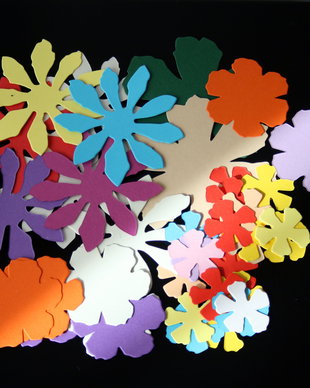 *** Mix flori carton ***