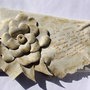 Colectia    PLICURI DANTELATE