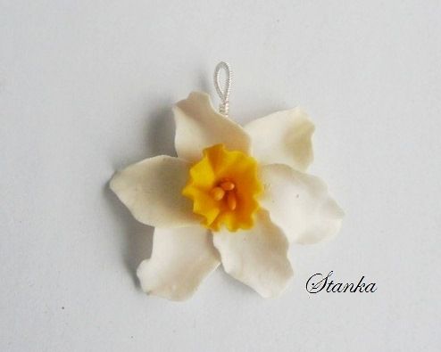 "Narcisa"