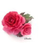 Sweet rose