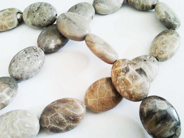 1b Coral fossil oval 12 x 16mm
