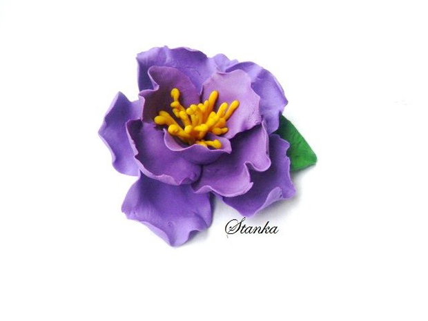 "Anemona" - VANDUTA -