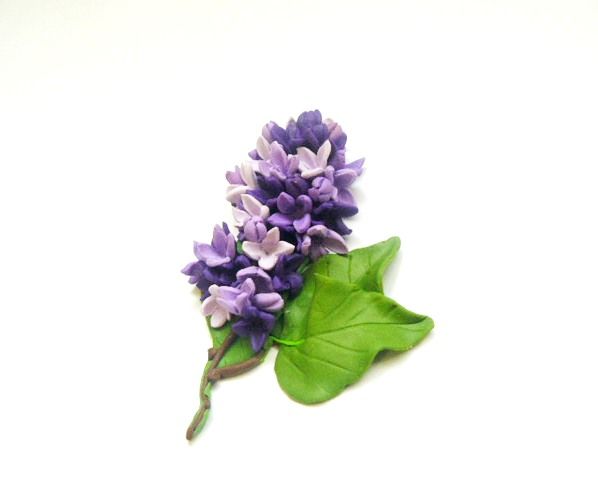 Crenguta de liliac